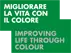 Vita color